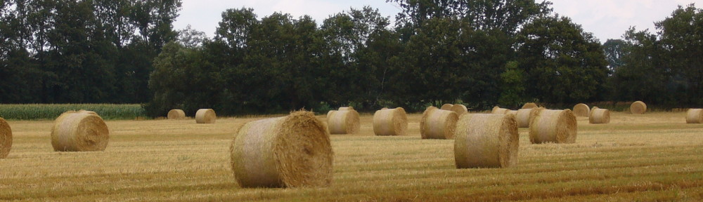 burgdorf.burgdorf-reporter.de