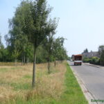 westliche Seite der Eseringer Straße