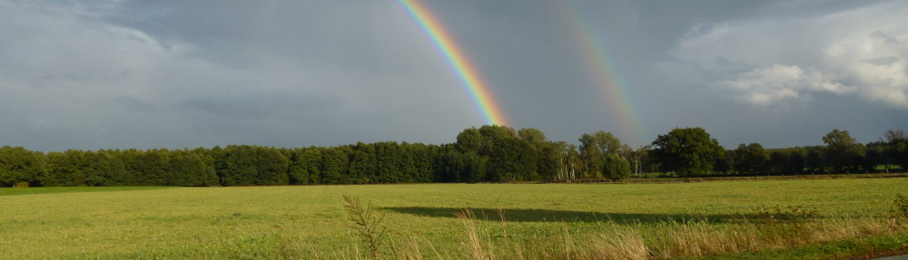 burgdorf.burgdorf-reporter.de