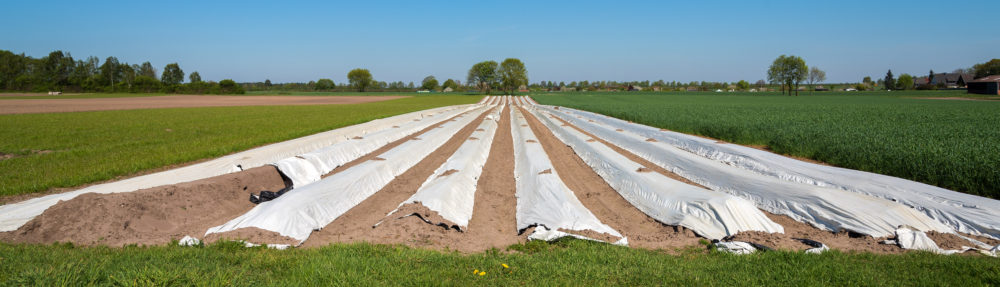 burgdorf.burgdorf-reporter.de