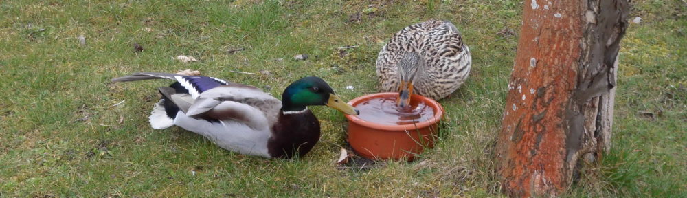 burgdorf.burgdorf-reporter.de