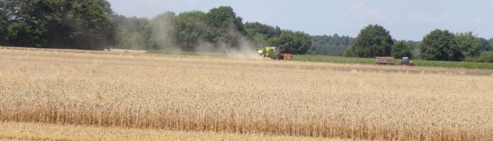 burgdorf.burgdorf-reporter.de